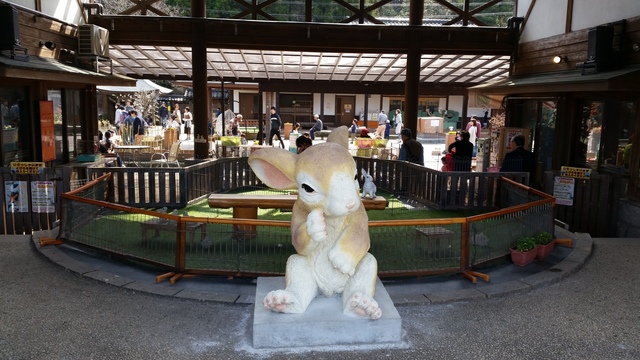 ウサギの里 東尋坊 高山の夜 徒然日記